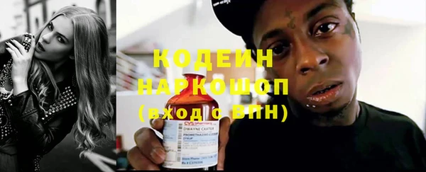 индика Кирсанов