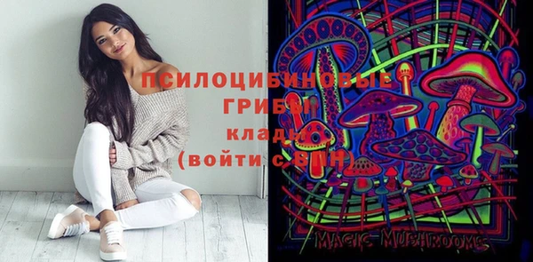 скорость Заводоуковск