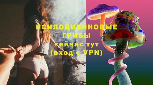 ешки Елизово