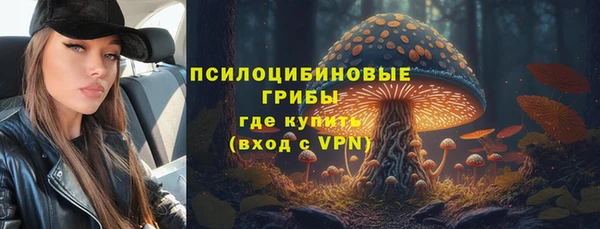 скорость Заводоуковск