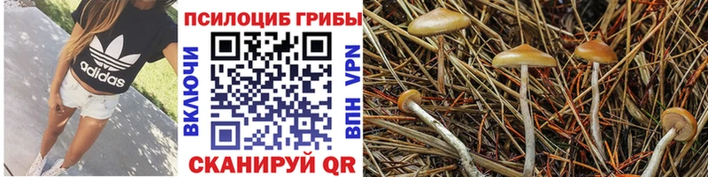 Псилоцибиновые грибы ЛСД  Сретенск 